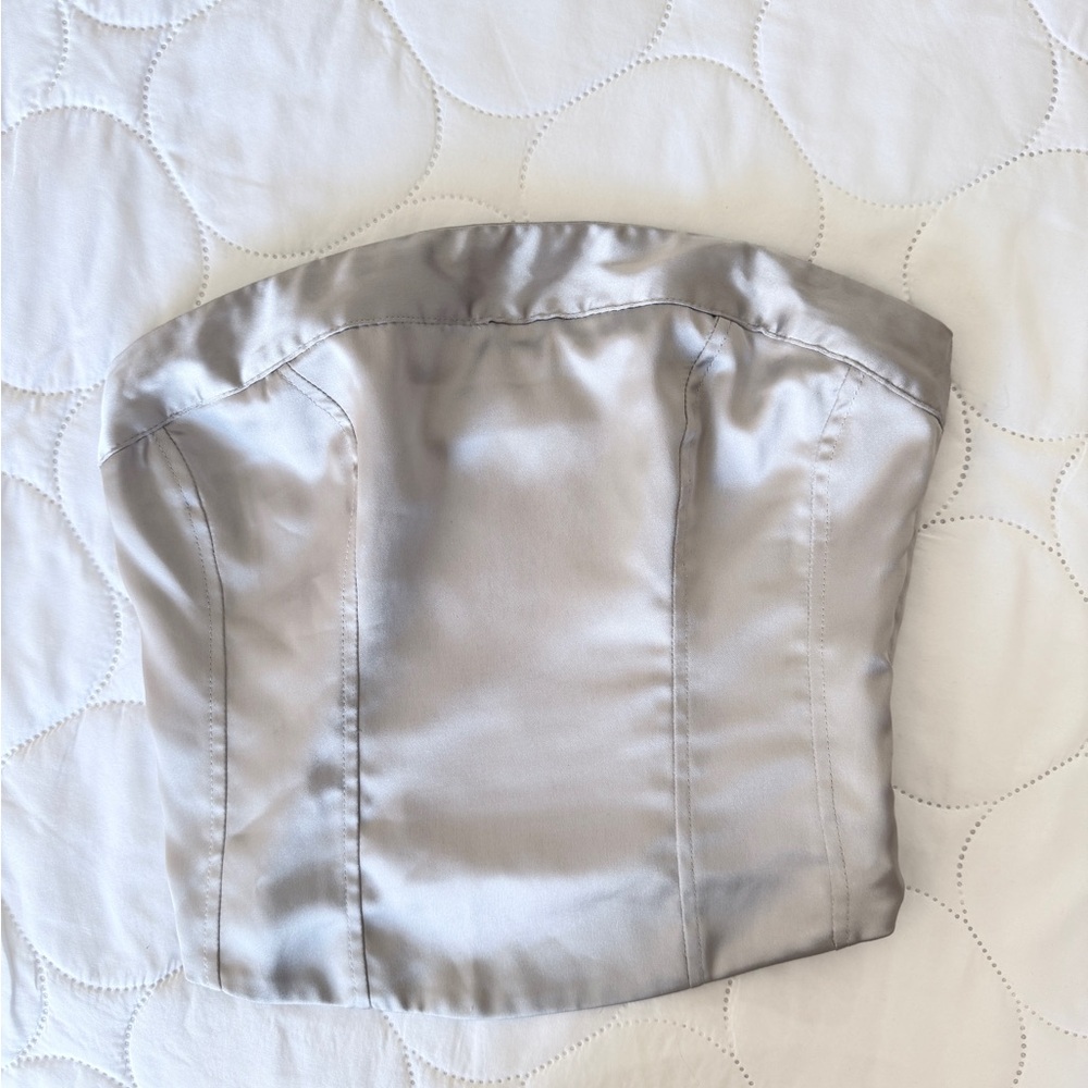 wild fable Silver Satin Strapless Bustier Top